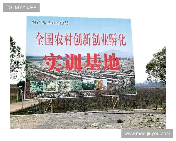 九游会登录入口j9：2024年最全九游会官网登录指南与使用技巧